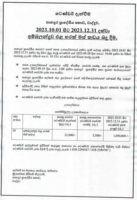 අම්බලන්දූව එලහරක් මස් කඩය බදු දීම 2023